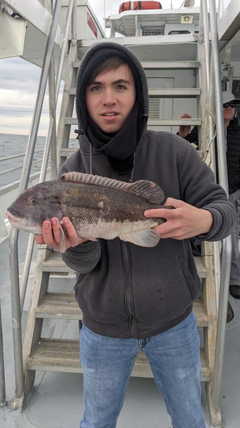 nice blackfish